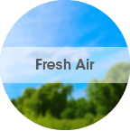 fresh_air Fresh Air
