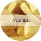vanilla Vanilla