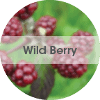 wild_berry Wild Berry