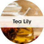 Tea Lily tea Lily